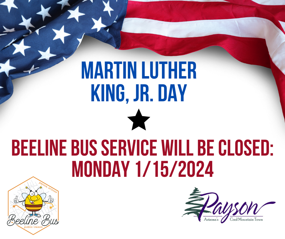 beeline bus service is closed 1152024