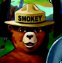 Smokey Bear Logo